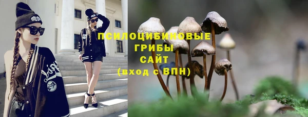 apvp Алексеевка