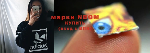 индика Алзамай
