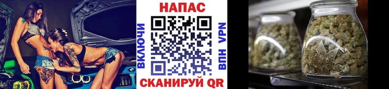 Конопля конопля  Калтан 